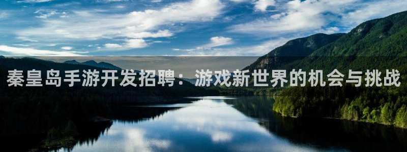 大神28在线：秦皇岛手游开发招聘：游戏新世界的机会与挑战