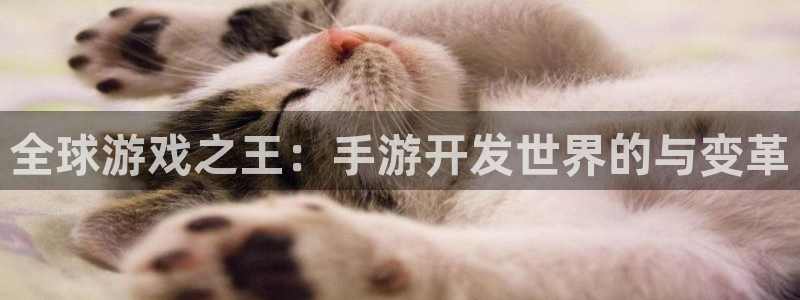加拿大预测28大神网：全球游戏之王：手游开发世界的与变革