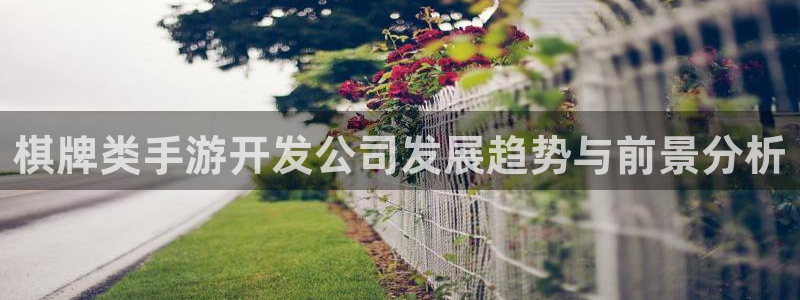 28大神网页：棋牌类手游开发公司发展趋势与前景分析