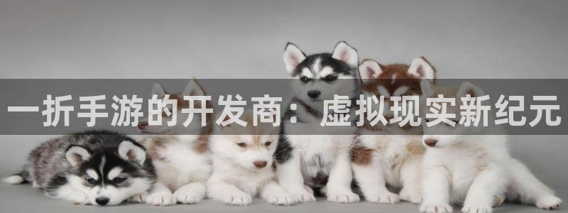 pc28大神苹果下载：一折手游的开发商：虚拟现实新纪元