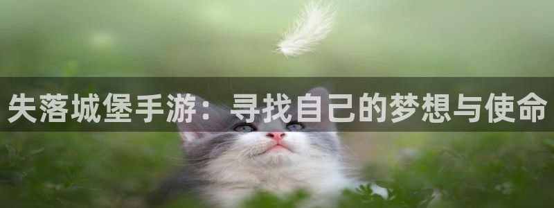 28大神官网苹果：失落城堡手游：寻找自己的梦想与使命