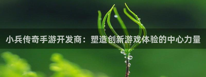 大神28官网：小兵传奇手游开发商：塑造创新游戏体验的中心力量