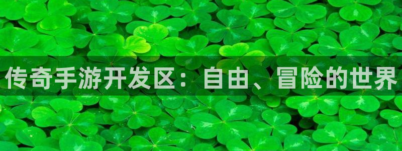 大神吧pc28预测