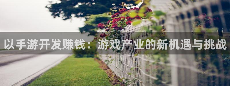 大神在线开奖28