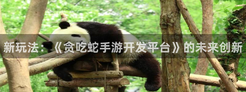 28大神玩法：新玩法：《贪吃蛇手游开发平台》的未来创新