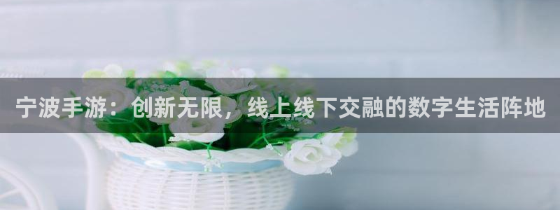 28大神官网预测：宁波手游：创新无限，线上线下交融的数字生活