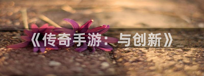 大神吧28注册：《传奇手游：与创新》