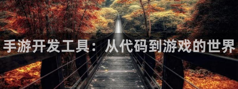 大神吧28注册:手游开发工具:从代码到游戏的世界