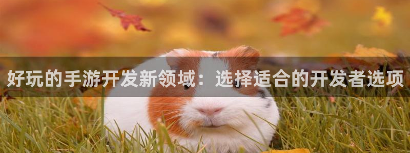 28大神怎么了：好玩的手游开发新领域：选择适合的开发者选项