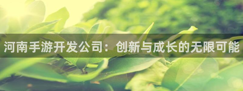 大神吧28预测：河南手游开发公司：创新与成长的无限可能