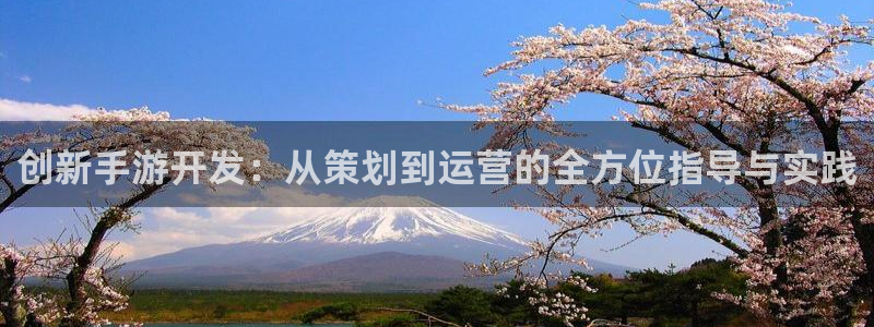 加拿大大神28预测网：创新手游开发：从策划到运营的全方位指导