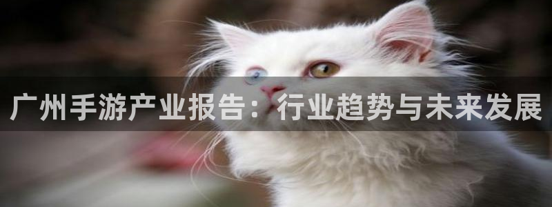 28大神开奖预测：广州手游产业报告：行业趋势与未来发展