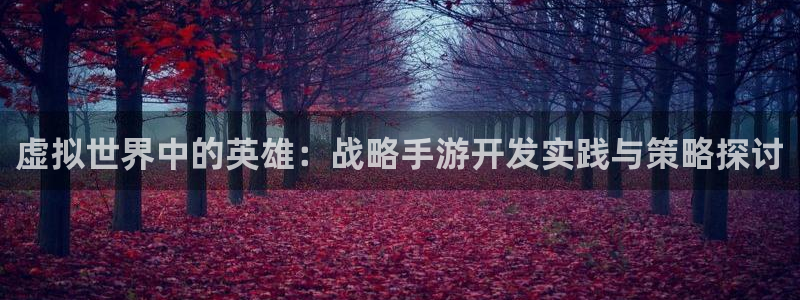 28大神怎么找不到了：虚拟世界中的英雄：战略手游开发实践与策