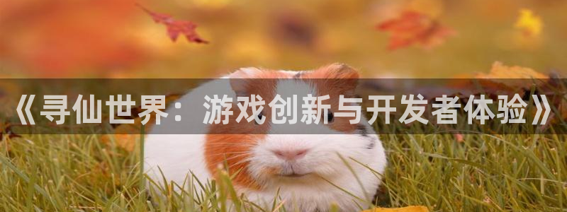 28大神专业版app下载页面：《寻仙世界：游戏创新与开发者体