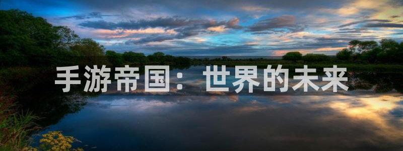 28大神老版本：手游帝国：世界的未来