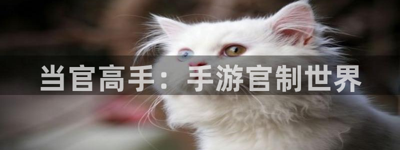 加拿大pc大神28预测：当官高手：手游官制世界