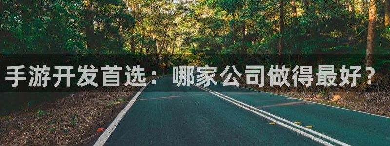 大神吧28注册：手游开发首选：哪家公司做得最好？