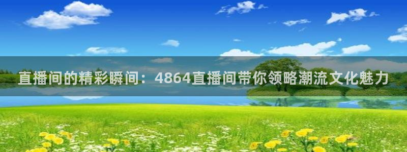 88看球直播：直播间的精彩瞬间：4864直播间带你领略潮流文化魅力