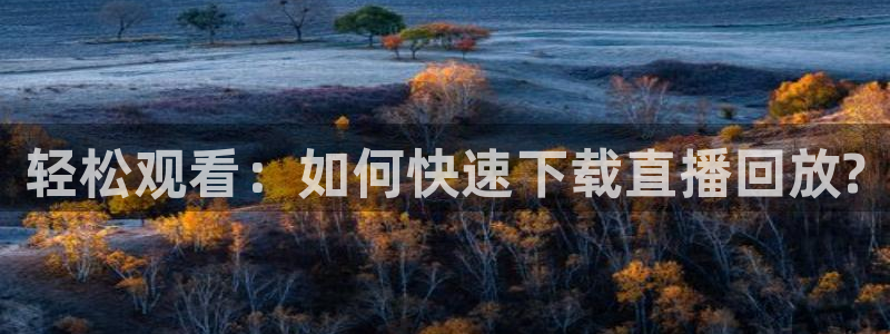 88看球直播官网入口：轻松观看：如何快速下载直播回放?
