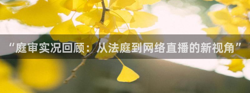 88看球nba直播间：“庭审实况回顾：从法庭到网络直播的新视角”