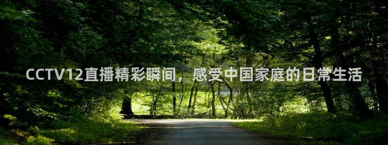 88看球直播在线观看：CCTV12直播精彩瞬间，感受中国家庭的日常生活