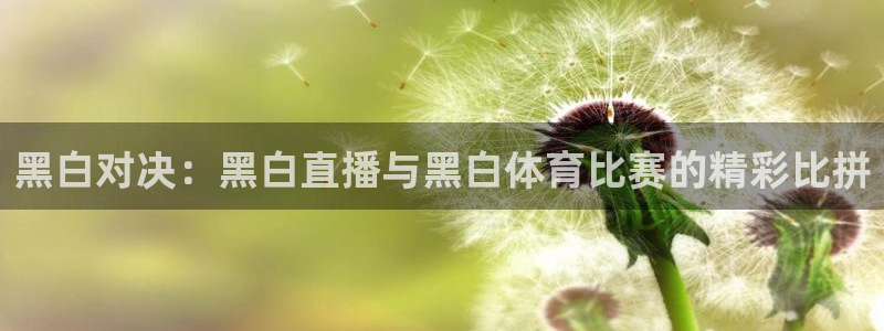 88看球nba直播高清：黑白对决：黑白直播与黑白体育比赛的精彩比拼