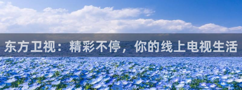 88看球直播入口：东方卫视：精彩不停，你的线上电视生活