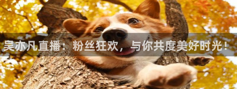 88看球免费nba直播：吴亦凡直播：粉丝狂欢，与你共度美好时光！