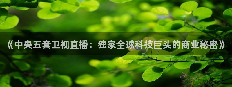 88看球体育：《中央五套卫视直播：独家全球科技巨头的商业秘密》