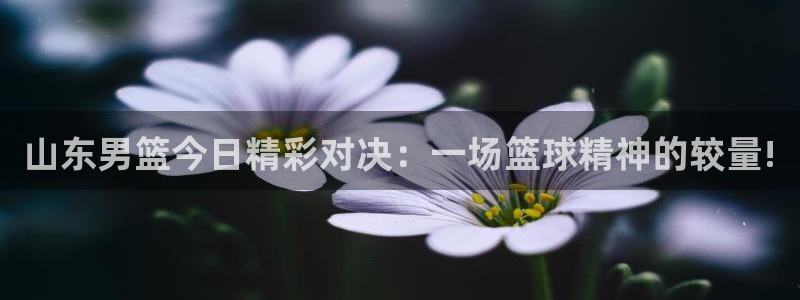 nba直播_足球直播_免费在线直播_88看球官网：山东男篮今日精彩对决：一场篮球精神的较量!