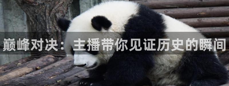 88看球直播体育：巅峰对决：主播带你见证历史的瞬间