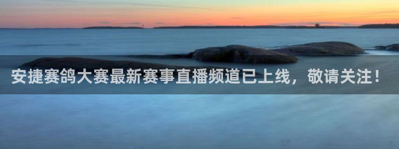 88看球nba直播免费：安捷赛鸽大赛最新赛事直播频道已上线，敬请关注！