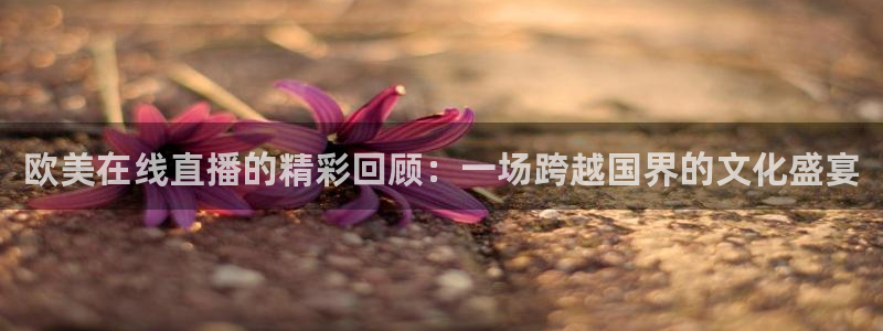 888看球直播：欧美在线直播的精彩回顾：一场跨越国界的文化盛宴